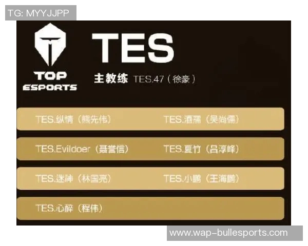 esports数据适合王者荣耀的游戏手柄推荐与装备选购指南助你轻松上分